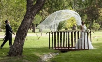 El Estudio de Maurizio