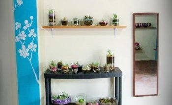 Yolotl Diseños Creativos