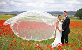 Elite Fotografos