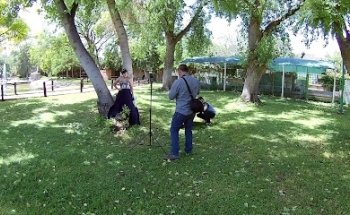 RG Films Video y Fotografía