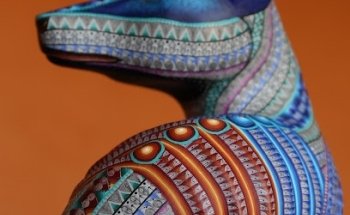 Edel Ruíz fotógrafo