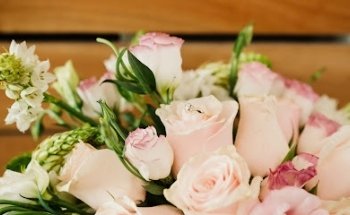 Foto Dominguez Tejeria