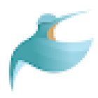 Chas Studios | Puerto Vallarta Wedding Photographer