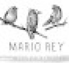 Mario Rey