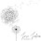 Jose Julian Photography - Fotógrafo De Bodas