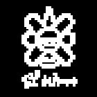 El Winni Fotografía Videos Musicales