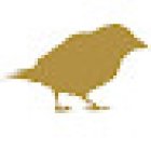 Black loftly Studio Christian Nassri