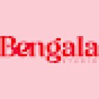 Bengala Studio & Film