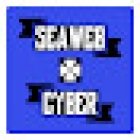 Seaweb-Cyber